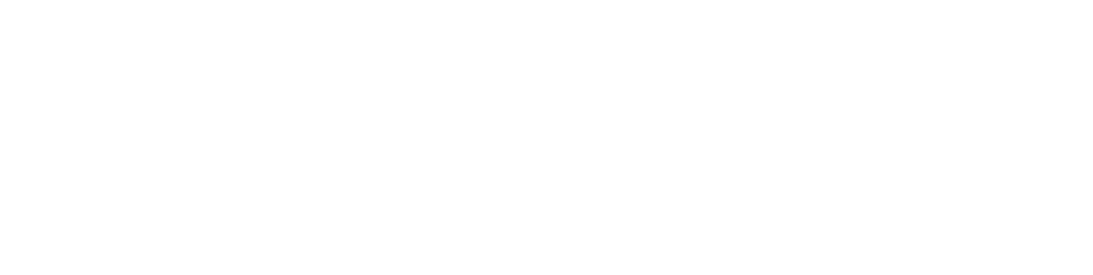 Brazilian Times