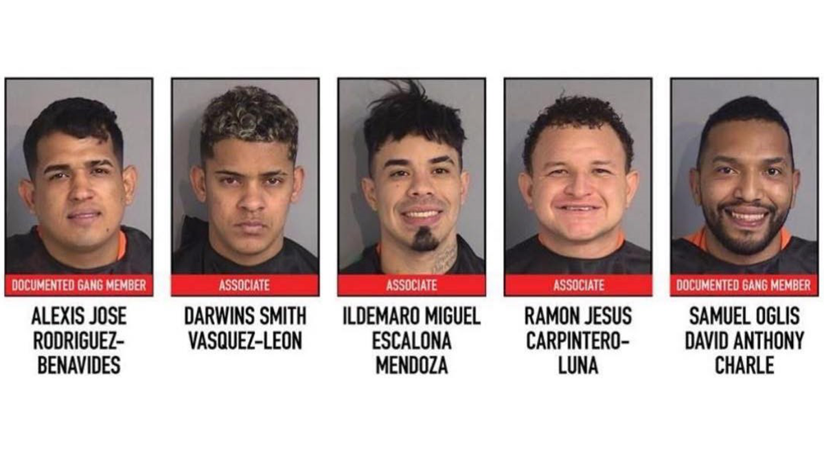 Suspeitos ligados à gangue Tren de Aragua são presos por roubos em série na Flórida; um chorou durante interrogatório
