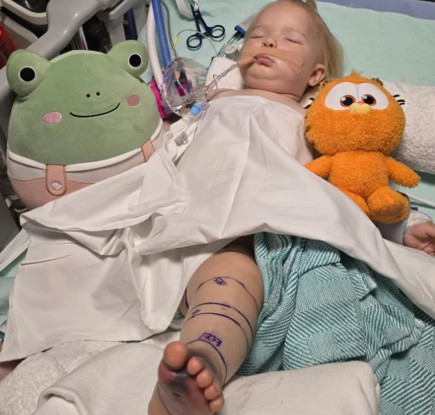 Bebê de 15 meses sobrevive após ser picada duas vezes por cascavel no Arizona