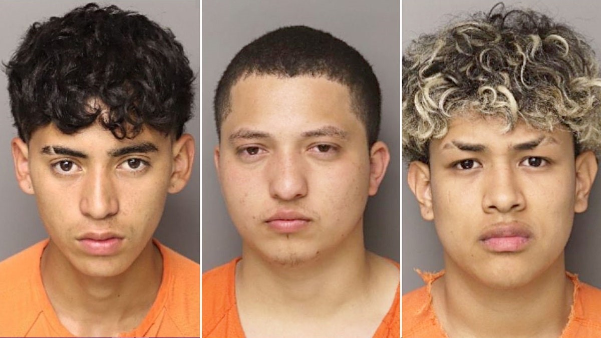 Seis imigrantes indocumentados são acusados do assassinato de mulher na Carolina do Sul em crime classificado como “ato bárbaro”