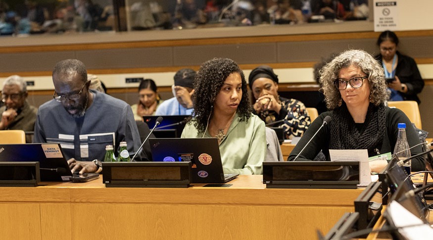 Instituto brasileiro destaca avanços no uso de dados para promover equidade racial em evento da ONU, em NY