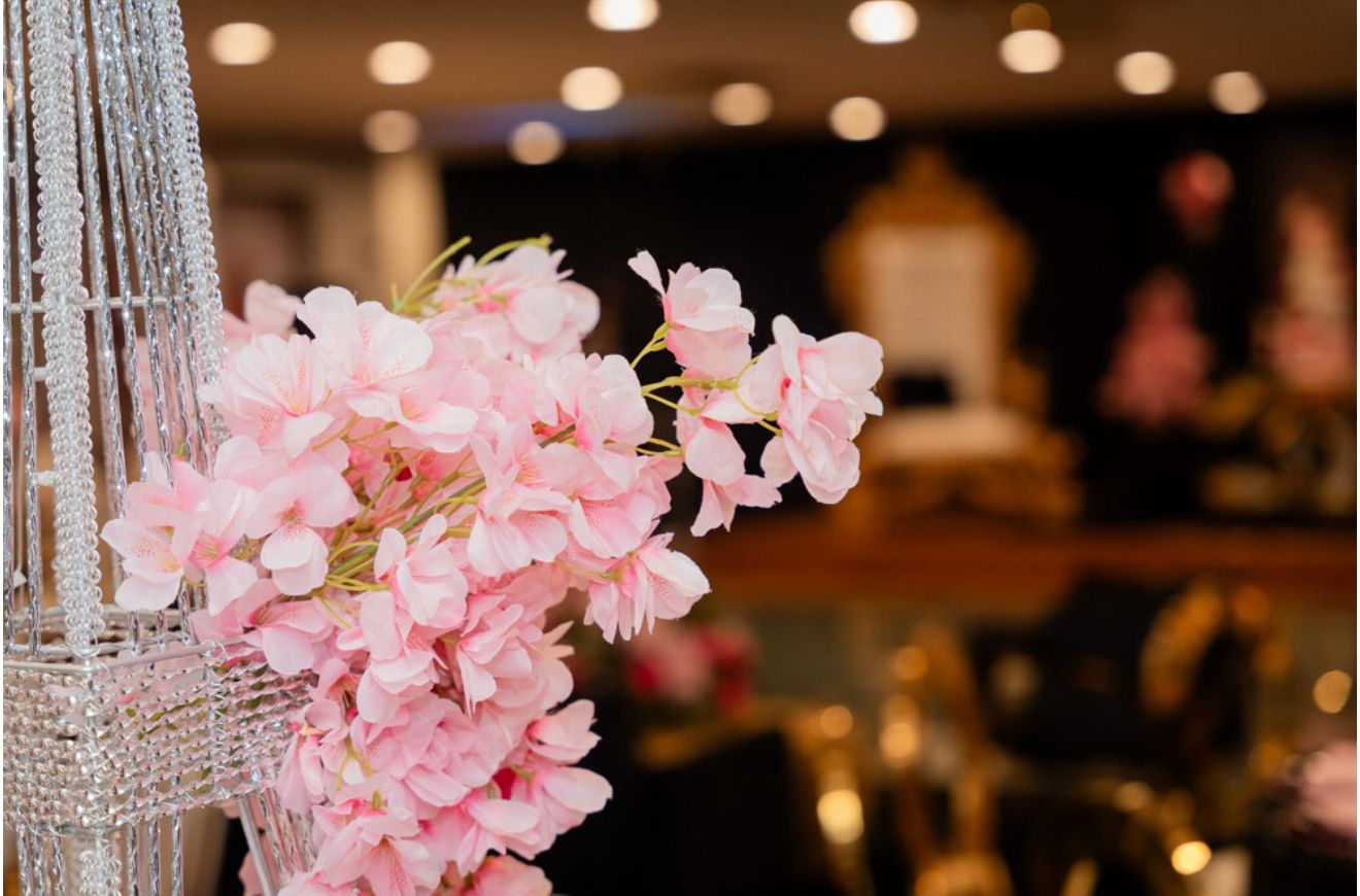 D’Veiga Clamor transforma eventos em experiências inesquecíveis na Nova Inglaterra