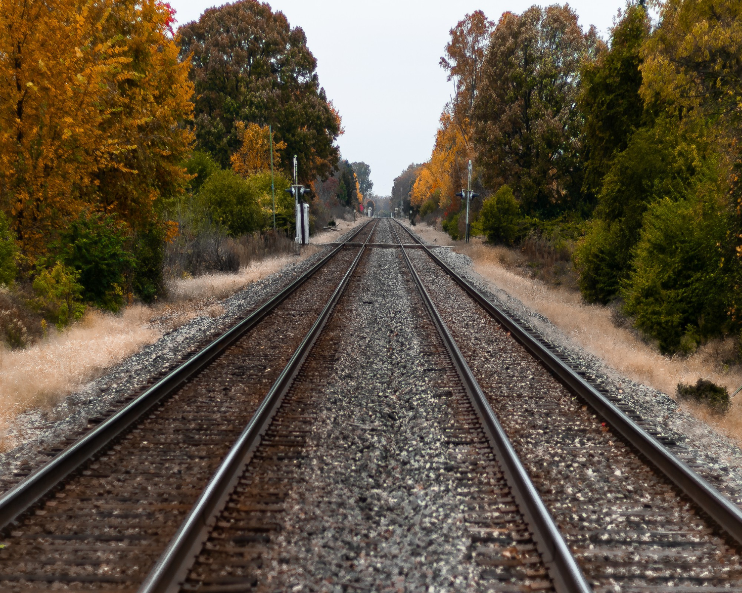 Descarrilamento de trem em Illinois causa vazamento de materiais perigosos e deixa dois feridos