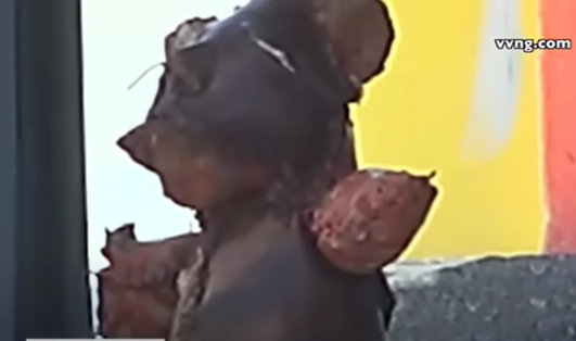 Urso de pelúcia feito com “pele humana falsa” leva à prisão na Califórnia