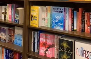 Justiça federal da Flórida considera inconstitucional lei que proibia livros “pornográficos” em escolas