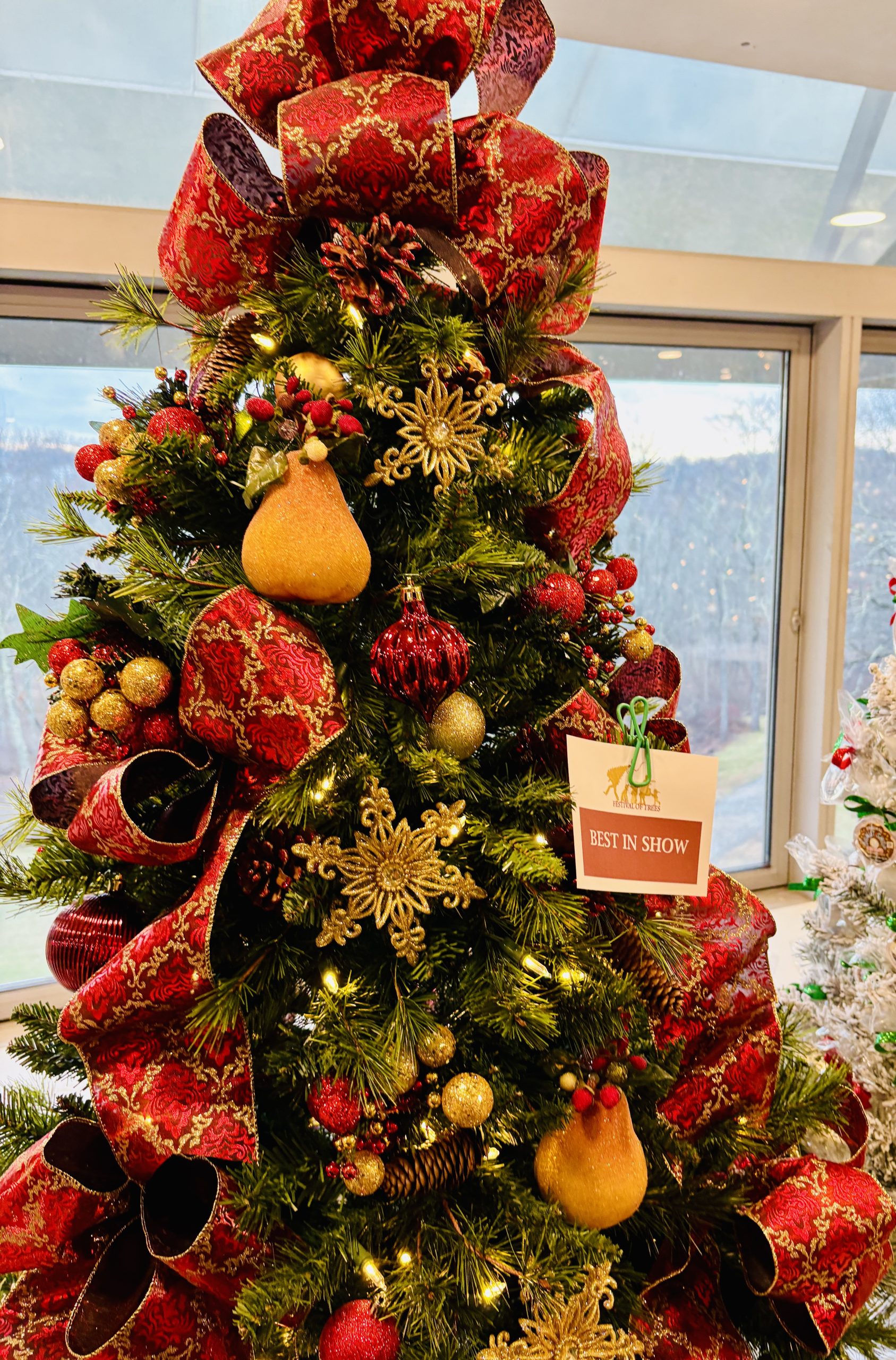 Coluna CT: No final de semana passado tivemos o nosso 23º Festival Anual das Árvores de Natal com o intuito de alegrar os corações de todos principalmente daqueles que sofrem com alguma forma de câncer