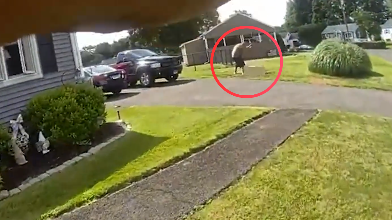 Filho mata o próprio pai com taco de beisebol em Connecticut e é morto a tiros pela polícia