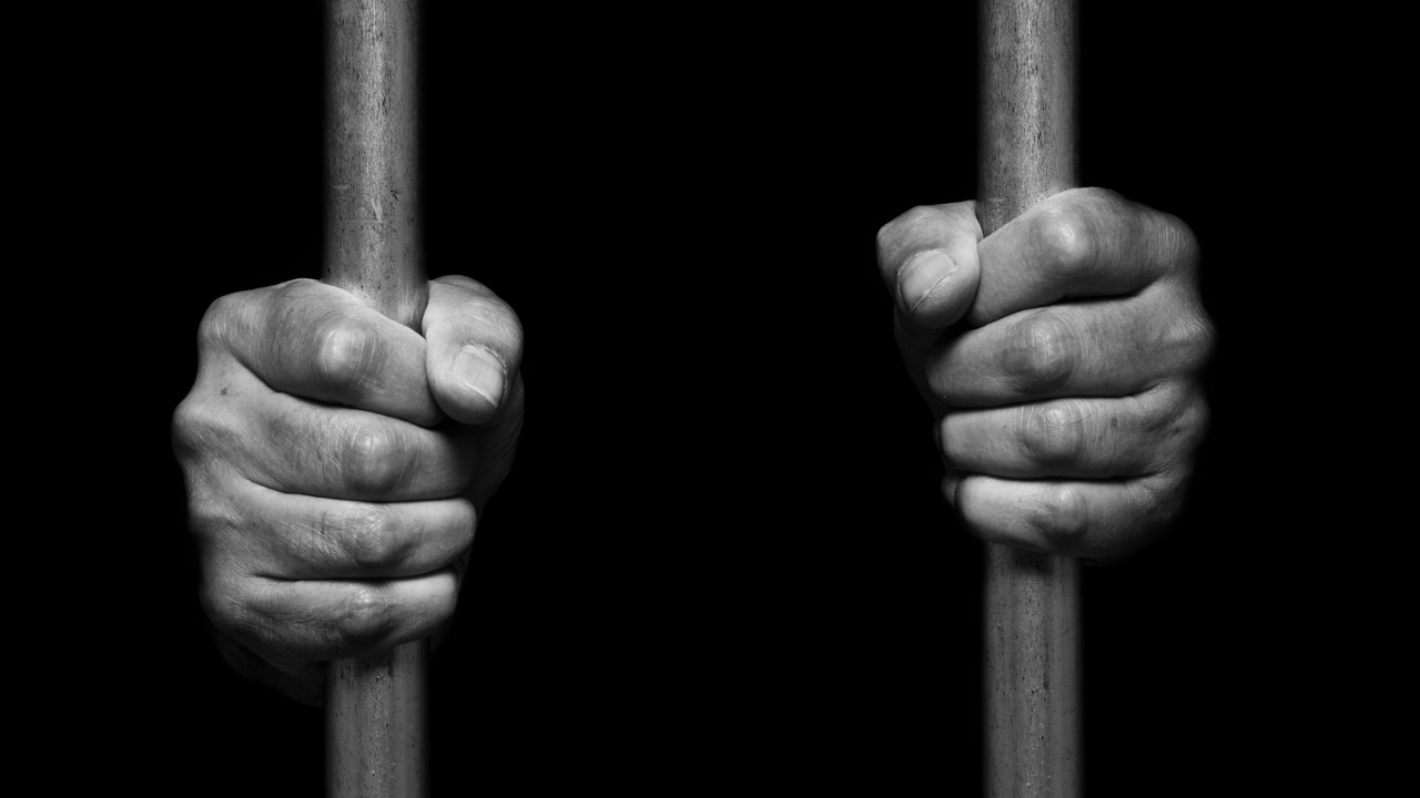 Pais brasileiros são condenados por educar filhas em casa e recorrem da decisão