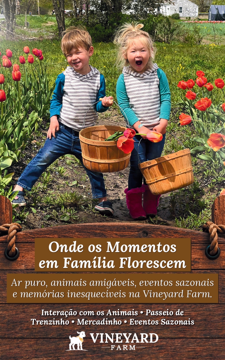 Vineyard Farm: Uma experiência inesquecível para toda a família em Massachusetts