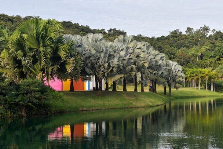 Coluna Uiara: B3 e Instituto Inhotim lançam rota dedicada à arte brasileira