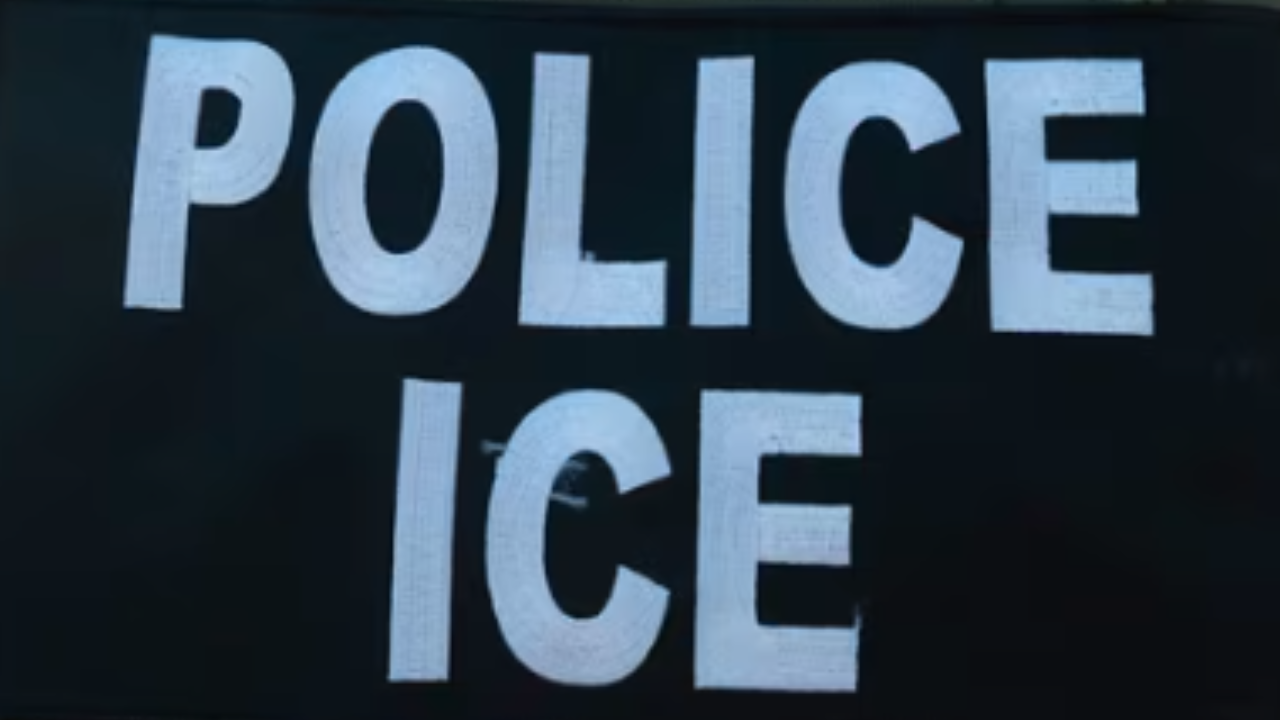 ICE avalia nova estrutura logística em Boston; plano prevê área para veículos de operações federais