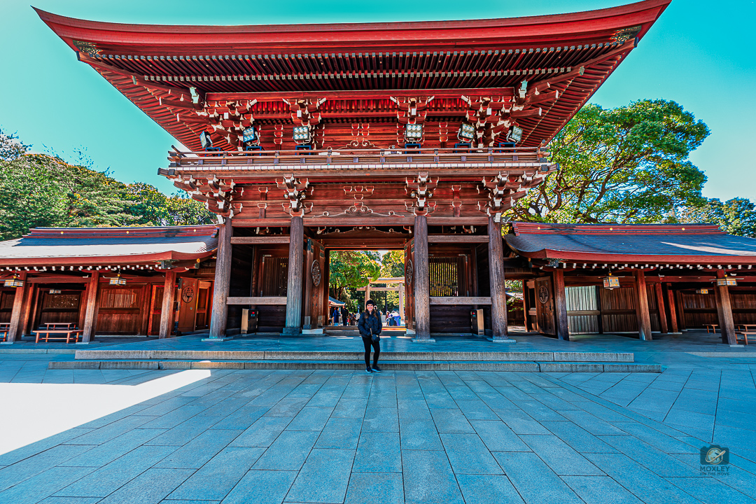 Japão não é outro país. É outro mundo.