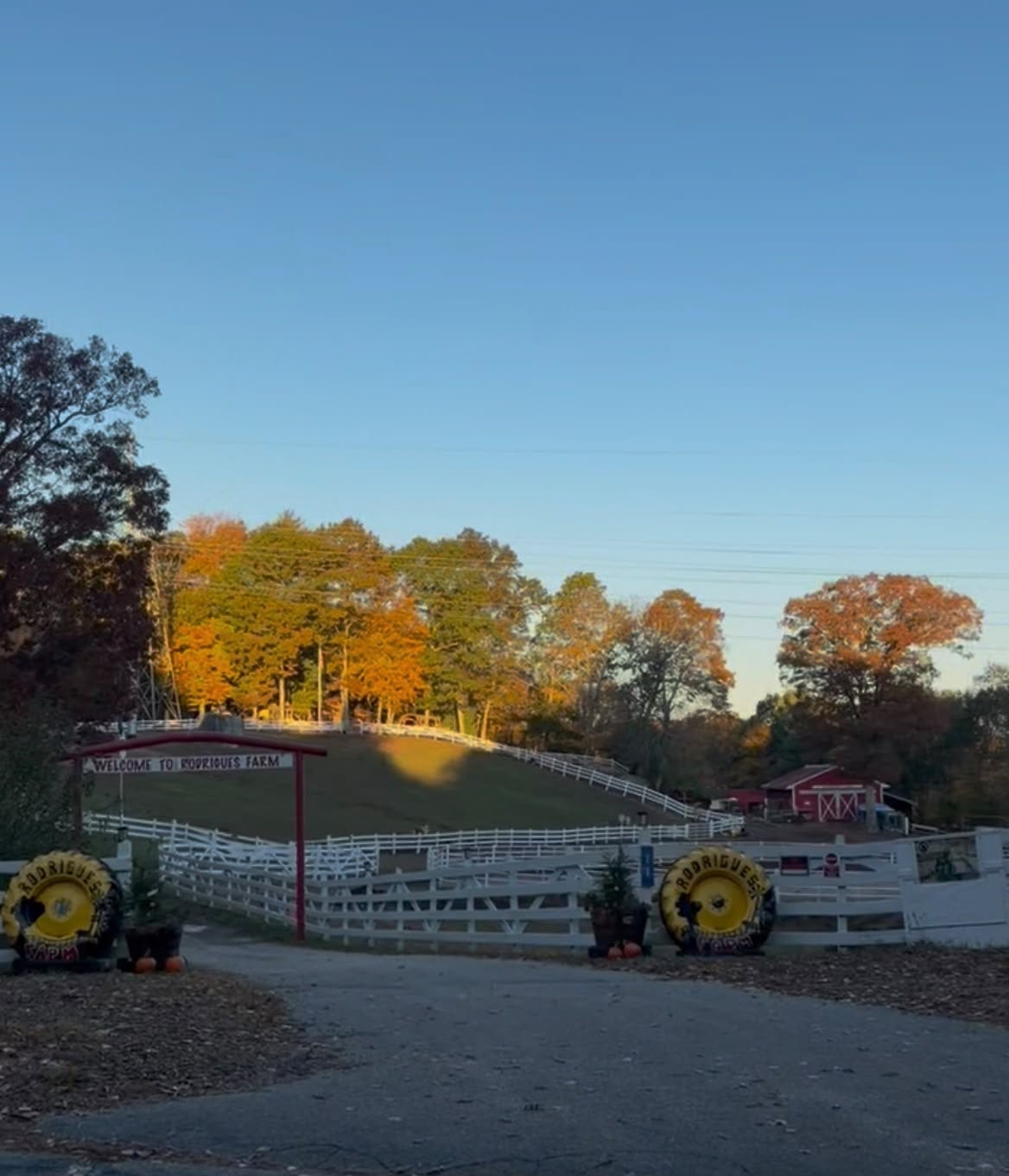 Rodrigues Farm reúne gastronomia, passeios e experiências em família em Berkley (MA)