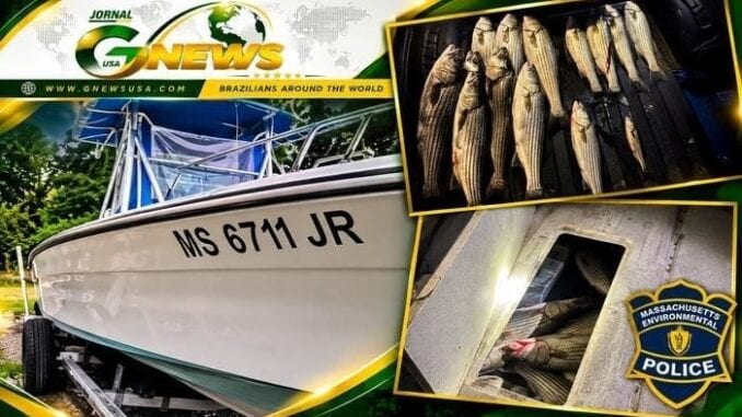 Agentes ambientais prendem dois brasileiros após apreensão de 13 robalos escondidos em embarcação em Massachusetts