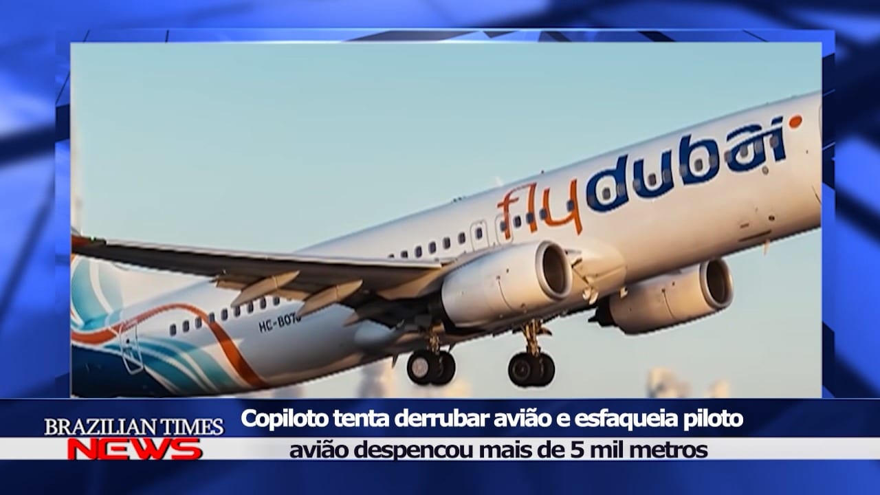 Imagem 4